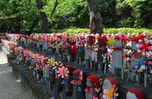 Tokyo Zojoji Temple and Tokyo Tower Tour