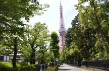 Tokyo Zojoji Temple and Tokyo Tower Tour