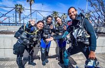 Guided 2-Dive Scuba Trip in South Tenerife