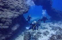 Guided 2-Dive Scuba Trip in South Tenerife