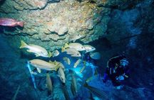 Guided 2-Dive Scuba Trip in South Tenerife