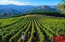 Private Jeita Grotto, Harissa & Ixsir Winery Tour | From Beirut