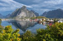 Leknes Cruise Port Excursion Reine, Å, Hamnøy Small Group