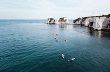 Guided Kayak Tour at Old Harry Rocks 2 Hours