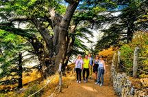 5-Day Highlights of Lebanon Tour from Beirut with Pickup