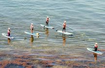 Introduction to Stand Up Paddleboarding in Studland