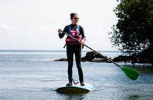 Introduction to Stand Up Paddleboarding in Studland