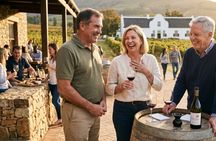 Private Cultural & Scenic Tour from Johannesburg