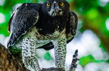 1 Day BIG FOUR Safari to Mikumi Park by train from Dar es Salaam