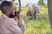 1 Day BIG FOUR Safari to Mikumi Park by train from Dar es Salaam