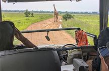 1 Day BIG FOUR Safari to Mikumi Park by train from Dar es Salaam
