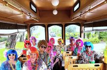 Amelia Island Trolley Exploration