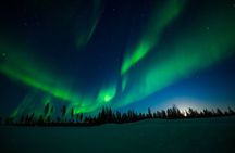 Rovaniemi: 100% Guaranteed Northern Lights & Free photos