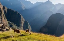 Machu Picchu Full Day Tour from Cusco