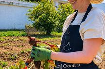 Moroccan Cooking Class in Tangier - Farm to Table Experience