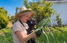 Moroccan Cooking Class in Tangier - Farm to Table Experience