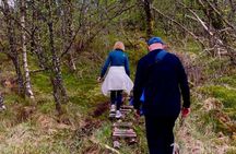Bergen Hike with Local Guide Scenic Views - max 6 pax - snack