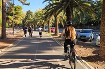 San Martin Park E Bike Private Tour