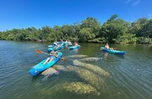 2 Hour Mangrove Maze Kayak Tour in Key West