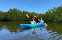 2 Hour Mangrove Maze Kayak Tour in Key West