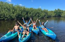 2 Hour Mangrove Maze Kayak Tour in Key West
