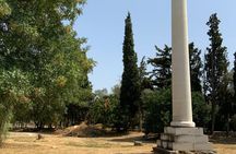 Full-day Tour: Marathon and Salamis with military expert