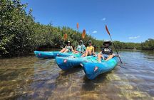 2 Hour Mangrove Maze Kayak Tour in Key West