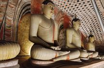 Sigiriya & Neighbourhoods: Most Recommended Guided Day Tour