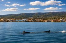 2.5 Hours Sunset Boat Tour in Search of Dolphins