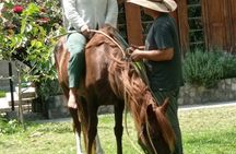 Taste the Real Peru: Live Cooking, Paso Horses & Farm Life
