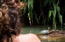 Private Sloth and Kayak Tour in Punta Uva