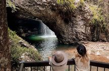 Private Gold Coast Wildlife Waterfalls and Rainforest Tour