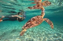 Private Gili Islands Snorkeling Tour with Sea Turtles