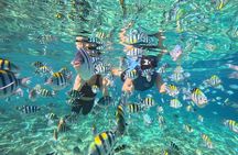 Private Gili Islands Snorkeling Tour with Sea Turtles