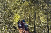 Rio Nature Experience: Tijuca Forest, Mirantes e Vida Selvagem