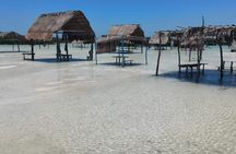 Progreso Beach and Isla Columpios Tour