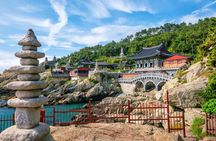Sky Capsule and Hotel Pickup Included Small Group Busan City Tour