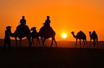 Best Agafay Desert Quad Bike, Camel Ride & Dinner Show