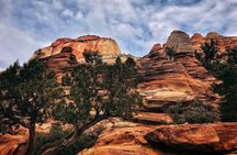 From Salt Lake city : small group tour to Zion National Park