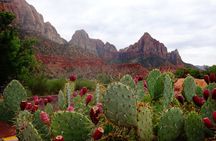 From Las Vegas Private Full Day Tour to Zion National Park