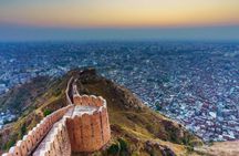 Jaipur Half Day Tour with Amer Nahargarh Fort and Monkey Temple