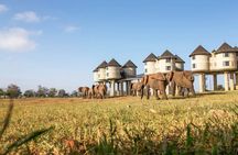 3 Days Taita Hills in Saltlick Lodge Private Safari from Mombasa