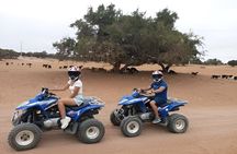Agadir Quad Biking Adventure: Beach, Forest & Sand Dunes