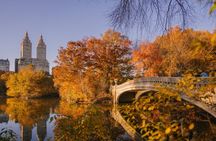 Central Park Pedicab Tour by The Big Apple