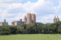 Central Park Pedicab Tour by The Big Apple