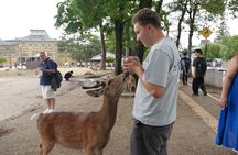 Day Trip Nara and Kyoto Private Tour from Tokyo by Bullet Train