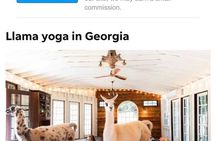 Llama Yoga