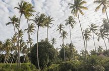Zanzibar: Quad Off-Road Adventure | Kiwengwa