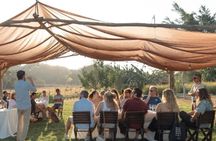 Cachasol Reposado Tequila Tasting Experience