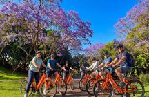 Santa Cruz de Tenerife Highlights Bike Tour with E-Bike Option